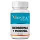 2104 - Composto para Auxiliar na Redução de Medidas e Colesterol - Berberina + Morosil 60 Doses