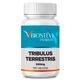 1868-Tribulus-Terrestris-500mg-180-capsulas