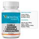 1410---Controle-de-Diabetes-Canela---Gengibre---Beringela---Associacoes-60-Doses-com-tabela