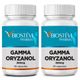961---Kit-2-potes-gamma-oryzanol-300mg-30-capsulas